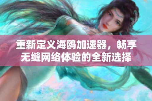 重新定义海鸥加速器，畅享无缝网络体验的全新选择