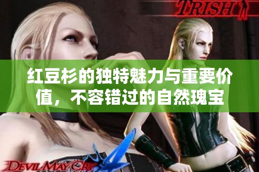 红豆杉的独特魅力与重要价值，不容错过的自然瑰宝