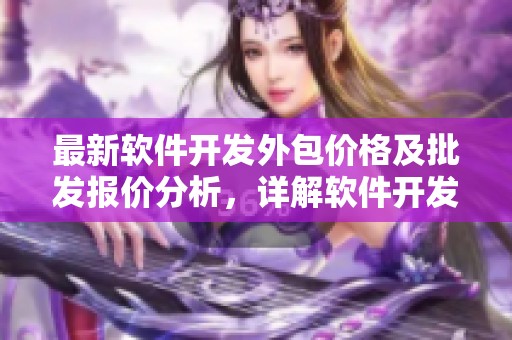 最新软件开发外包价格及批发报价分析，详解软件开发外包价格的差异与趋势