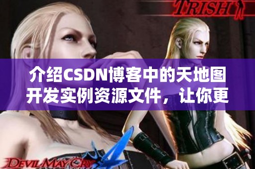 介绍CSDN博客中的天地图开发实例资源文件，让你更好理解其应用与功能