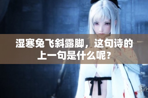 湿寒兔飞斜露脚，这句诗的上一句是什么呢？
