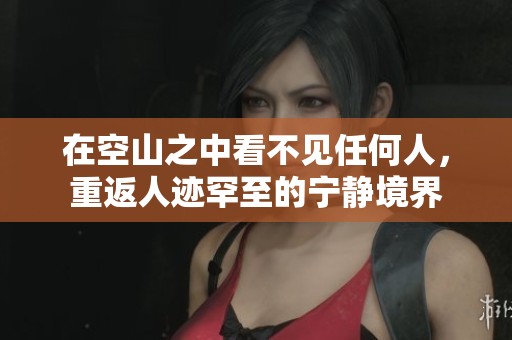 在空山之中看不见任何人，重返人迹罕至的宁静境界