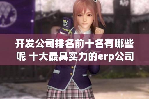 开发公司排名前十名有哪些呢 十大最具实力的erp公司介绍