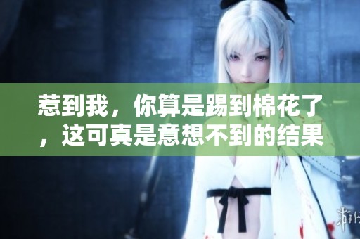 惹到我，你算是踢到棉花了，这可真是意想不到的结果！
