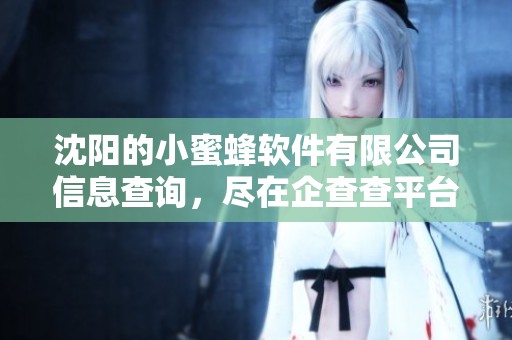 沈阳的小蜜蜂软件有限公司信息查询，尽在企查查平台为您提供全面服务